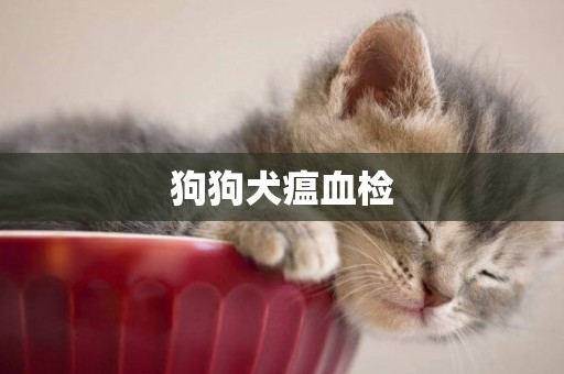 狗狗犬瘟血檢