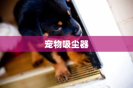 寵物吸塵器