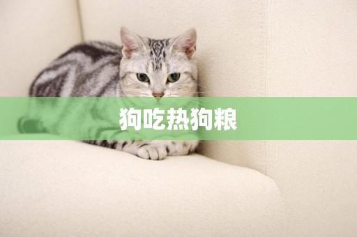 狗吃熱狗糧