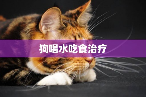 狗喝水吃食治療