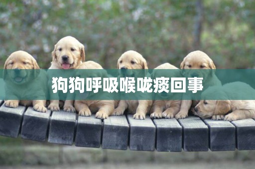 狗狗呼吸喉嚨痰回事