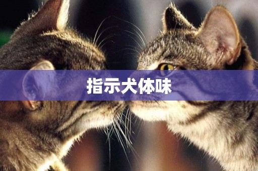 指示犬體味