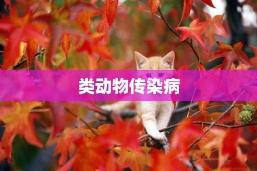 類動物傳染病