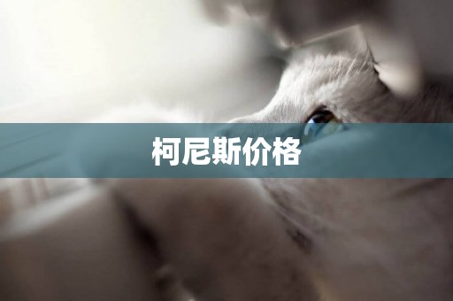 柯尼斯價格