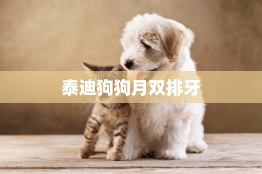 泰迪狗狗月雙排牙