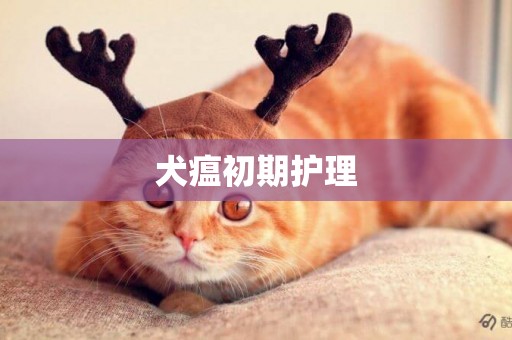 犬瘟初期護理