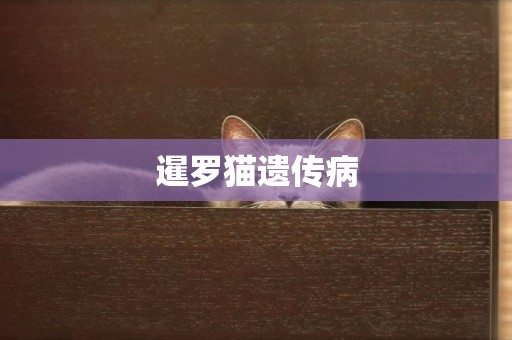暹羅貓遺傳病