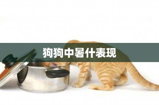 狗狗中暑什表現