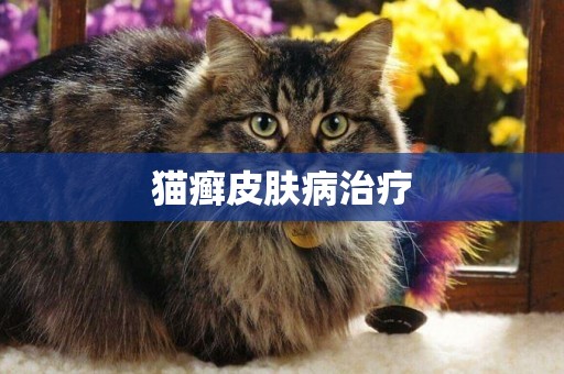 貓癬皮膚病治療