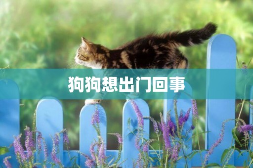 狗狗想出門回事