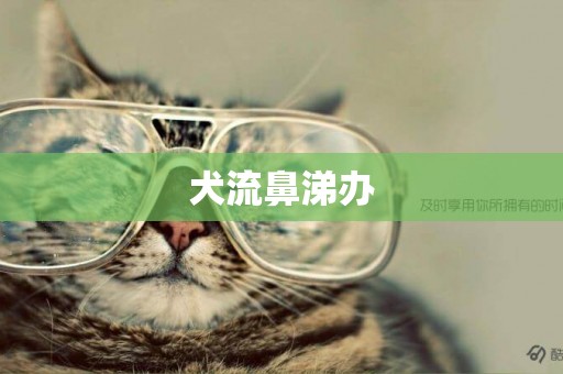 犬流鼻涕辦