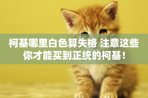 柯基哪里白色算失格 注意這些你才能買到正統的柯基！