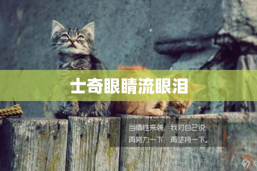 士奇眼睛流眼淚