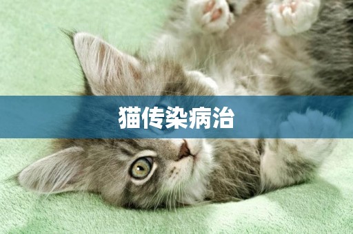 貓傳染病治