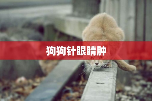 狗狗針眼睛腫