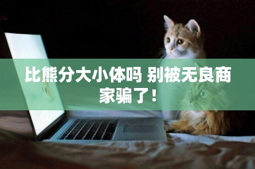 比熊分大小體嗎 別被無良商家騙了！