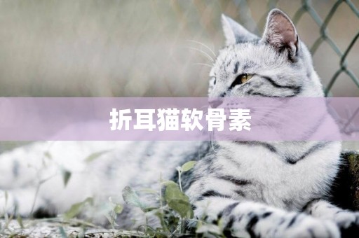 折耳貓軟骨素