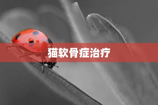 貓軟骨癥治療