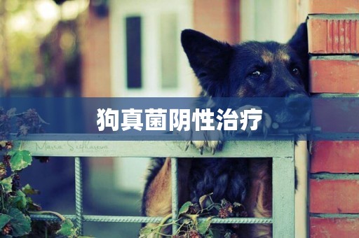 狗真菌陰性治療