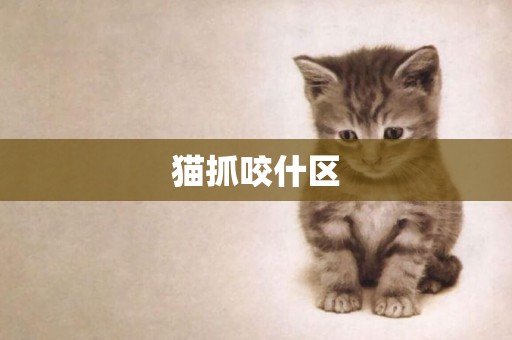 貓抓咬什區