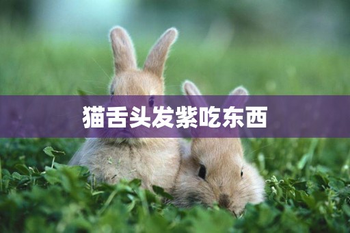 貓舌頭發紫吃東西
