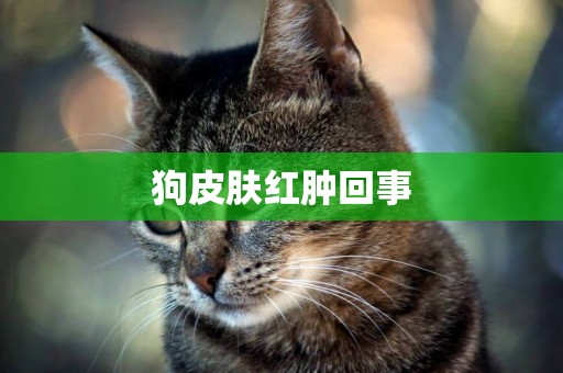 狗皮膚紅腫回事