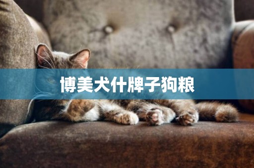 博美犬什牌子狗糧