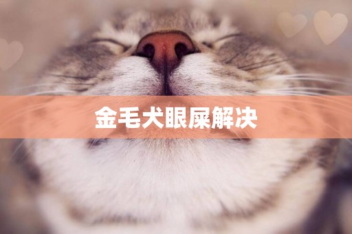 金毛犬眼屎解決