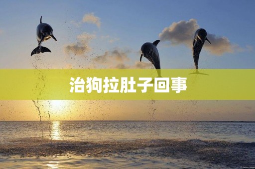 治狗拉肚子回事