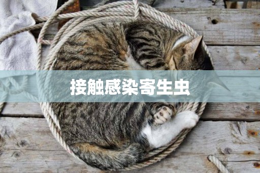 接觸感染寄生蟲