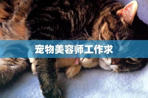 寵物美容師工作求