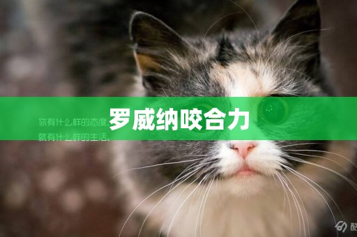 羅威納咬合力