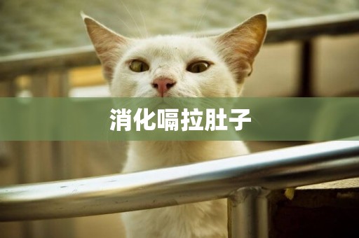 消化嗝拉肚子