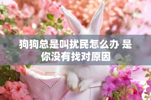 狗狗總是叫擾民怎么辦 是你沒有找對原因