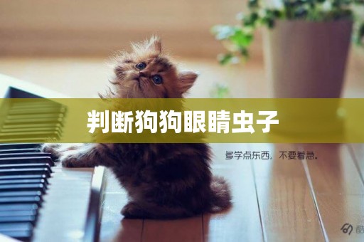 判斷狗狗眼睛蟲子