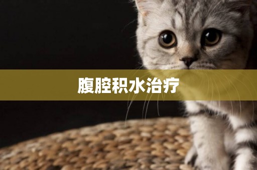 腹腔積水治療