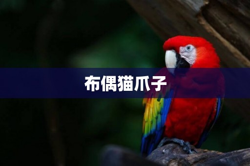 布偶貓爪子
