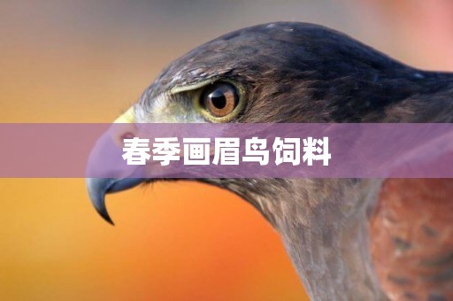 春季畫眉鳥飼料
