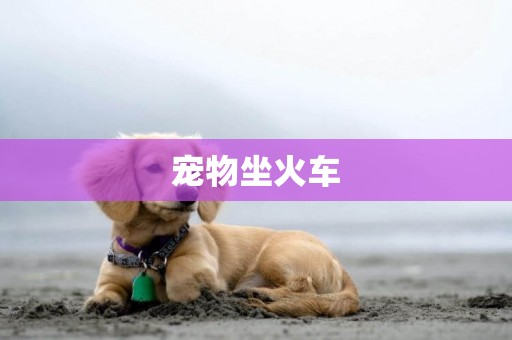 寵物坐火車