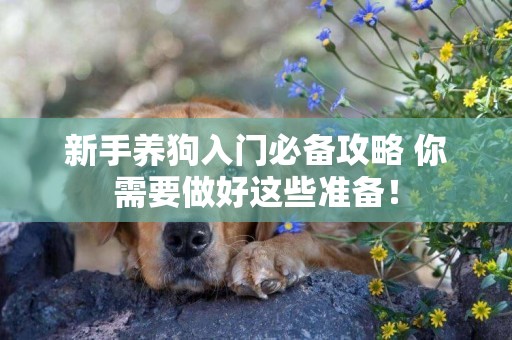 新手養狗入門必備攻略 你需要做好這些準備！