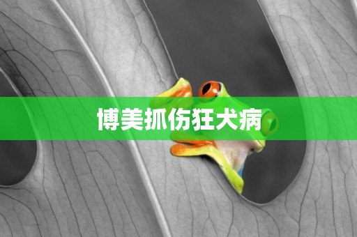 博美抓傷狂犬病