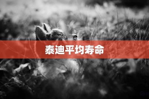 泰迪平均壽命
