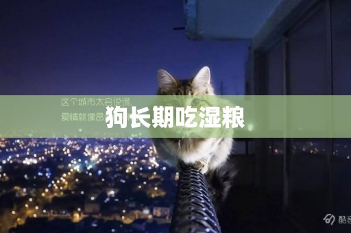 狗長期吃濕糧