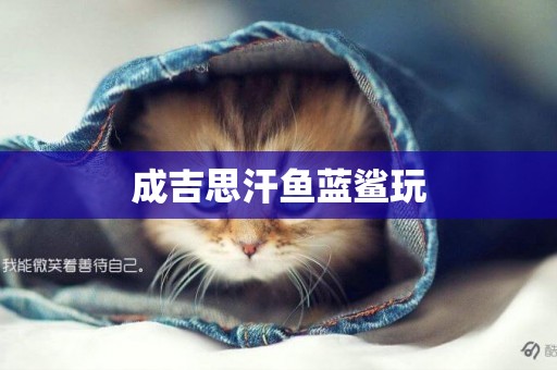 成吉思汗魚藍鯊玩