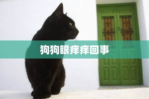 狗狗眼癢癢回事