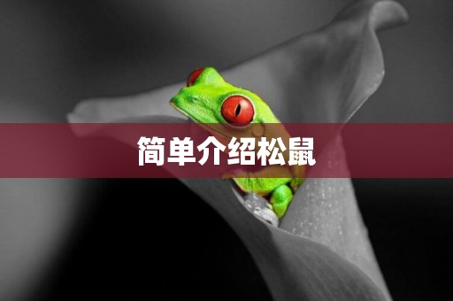 簡單介紹松鼠