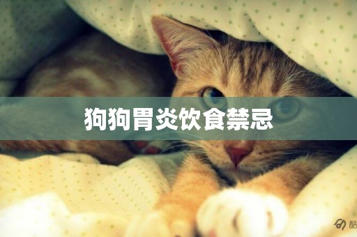 狗狗胃炎飲食禁忌