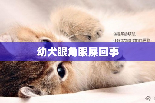 幼犬眼角眼屎回事