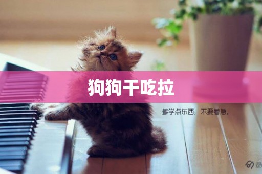 狗狗干吃拉