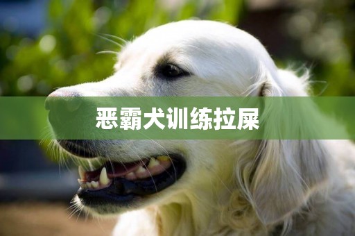 惡霸犬訓練拉屎